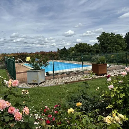 Vakantiehuis Avec Piscine Et Roseraie Pres De Vichy - Fr-1-489-545 *